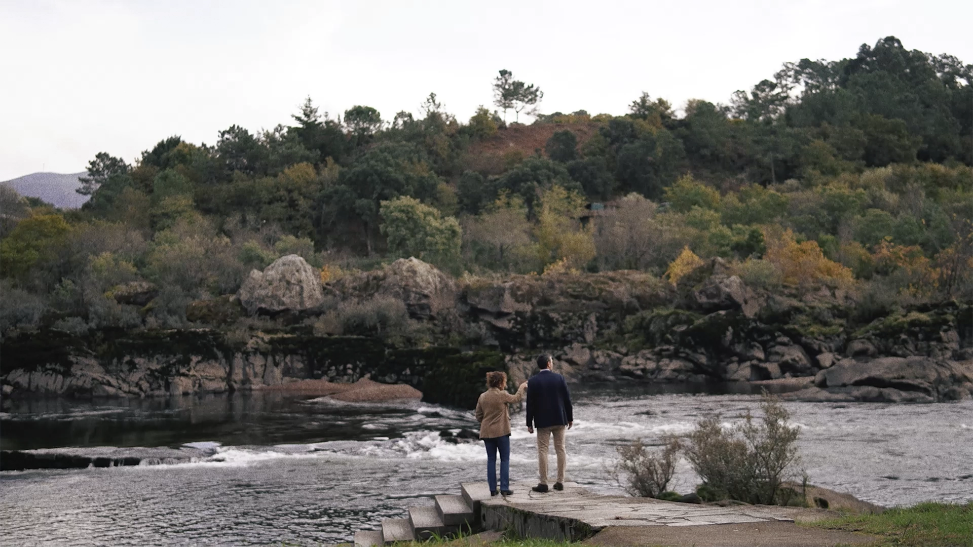 Competencias digitales